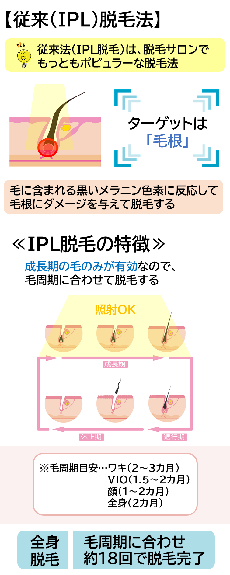 従来のIPL脱毛法をご説明します！IPL脱毛は、脱毛サロンではもっともポピュラーな脱毛法です。ターゲットは「毛根」。毛に含まれる黒いメラニン色素に反応して毛根にダメージを与えて脱毛します。IPL脱毛の特徴は、成長期の毛のみが有効なので、毛周期に合わせて脱毛する必要があります。全身脱毛だと、毛周期に合わせながら約18回で脱毛が完了する目安です。